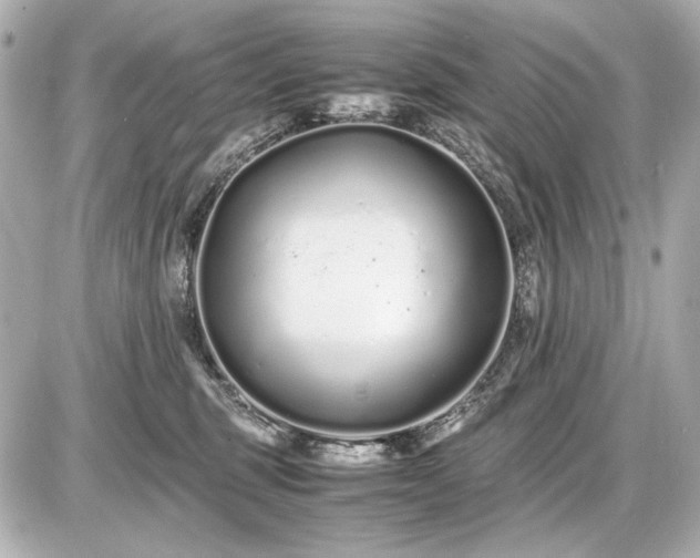 X0000086960375200704231456