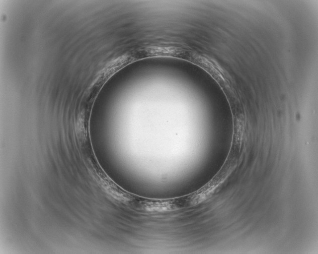 X0000086960377200704231456