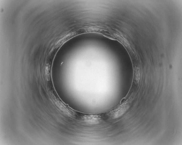 X0000086960378200704231456