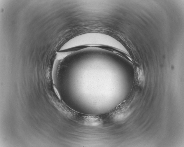X0000086960380200704231456