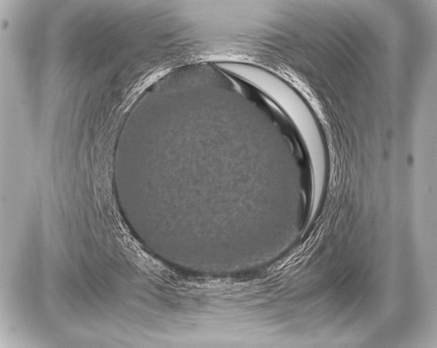 X0000086960385200704231456