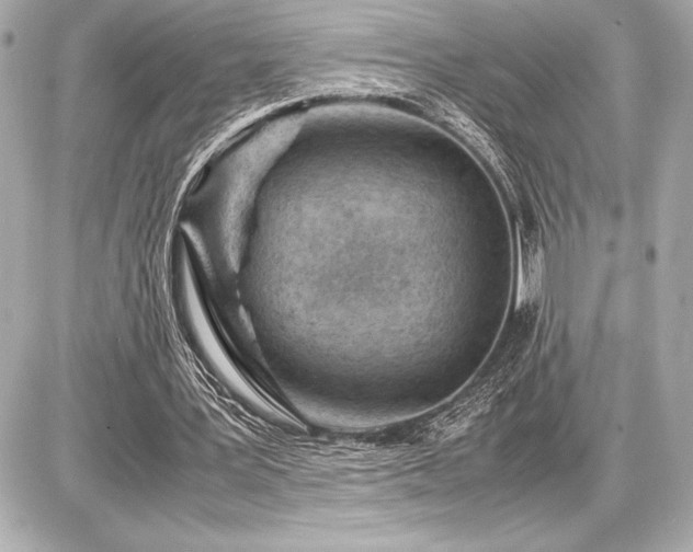 X0000086960387200704231456