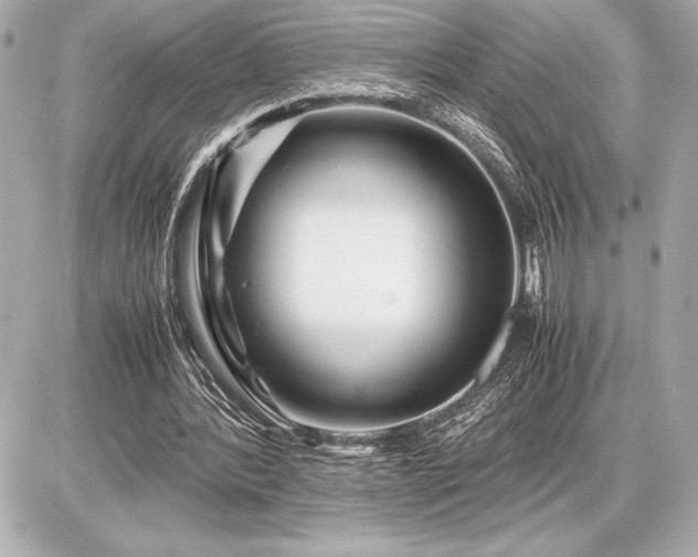 X0000086960388200704231456