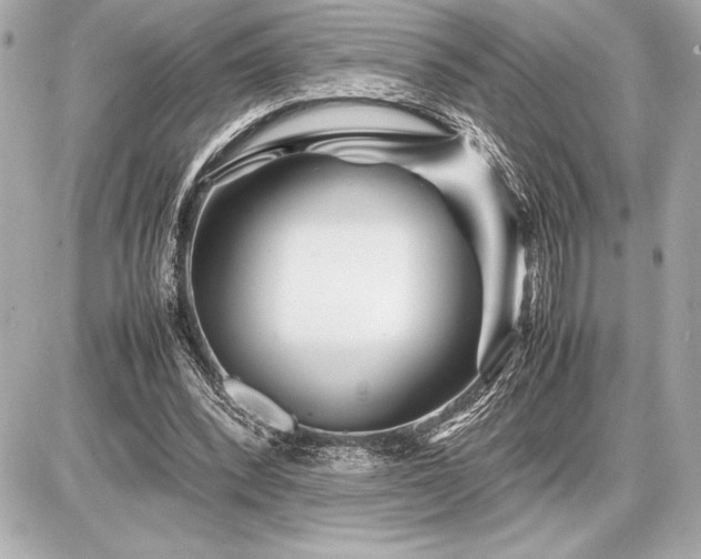 X0000086960392200704231456