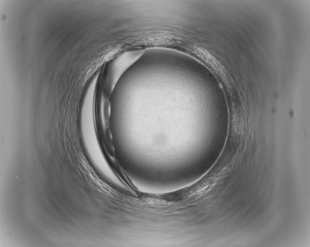 X0000086960393200704231456