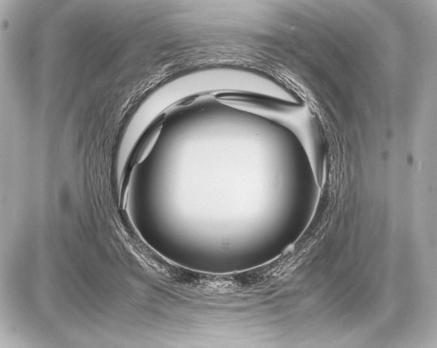 X0000086960401200704231456