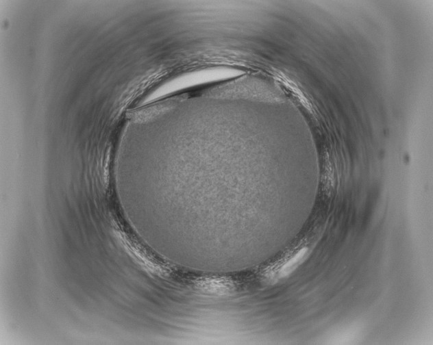 X0000086960402200704231456