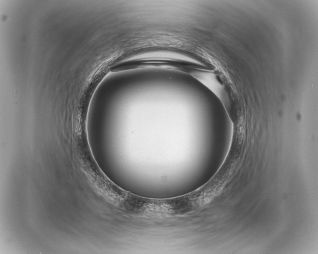 X0000086960403200704231455