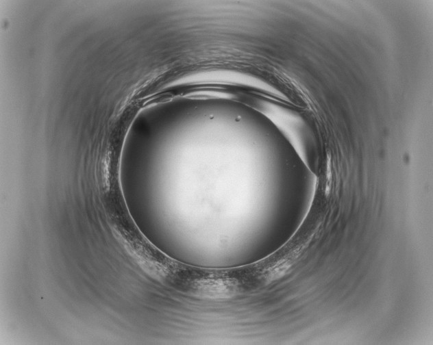 X0000086960404200704231455