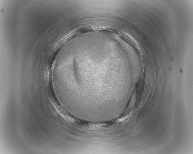 X0000086960405200704231455