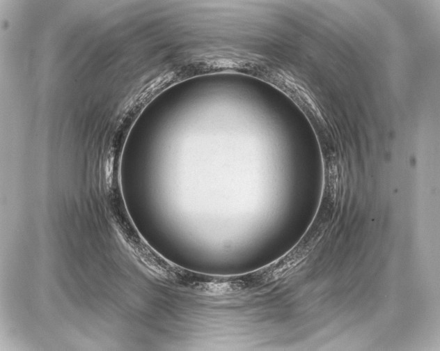 X0000086960406200704231455