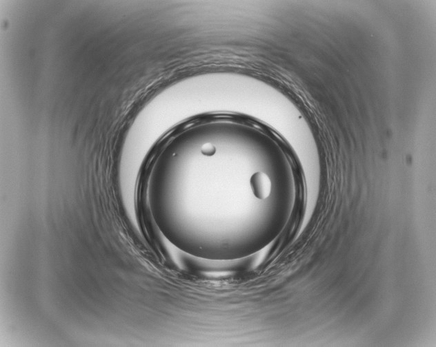 X0000086960411200704231455