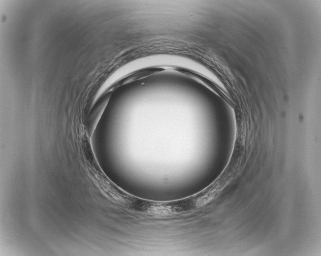 X0000086960413200704231455