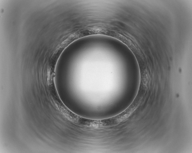 X0000086960420200704231455