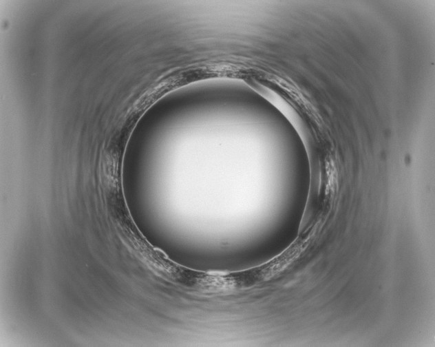 X0000086960421200704231455