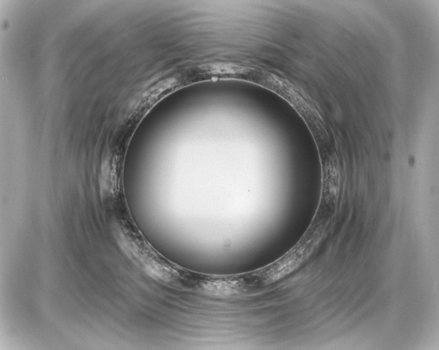 X0000086960422200704231455