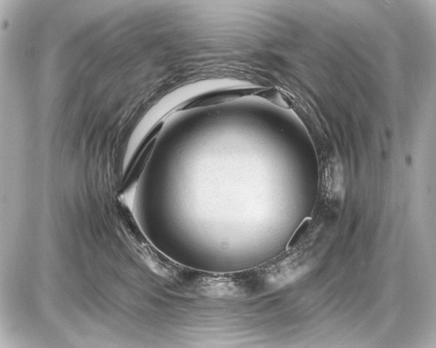 X0000086960424200704231455