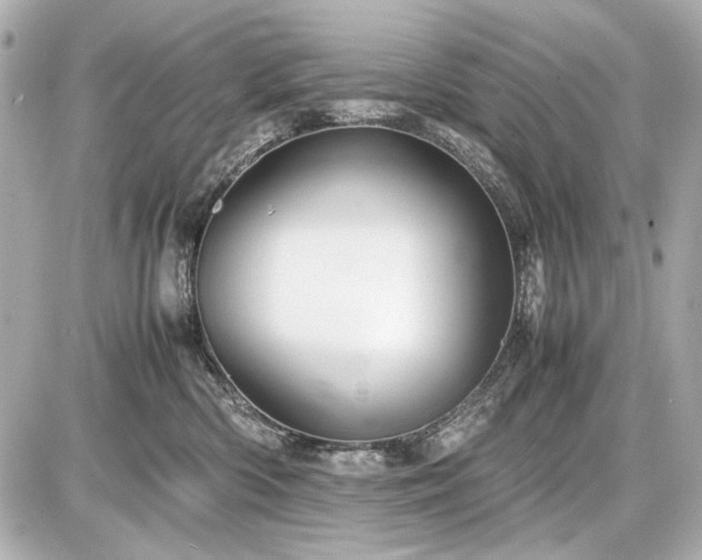 X0000086960426200704231455