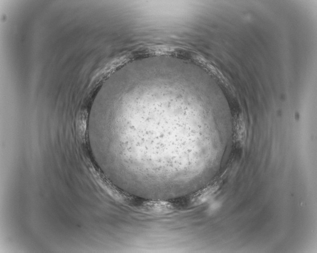 X0000086960427200704231455