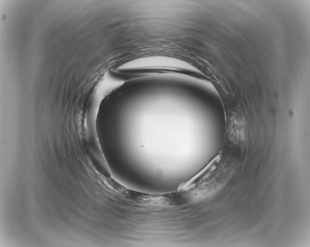 X0000086960428200704231455