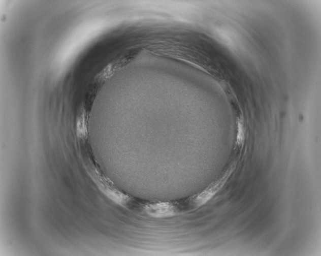 X0000086960431200704231455