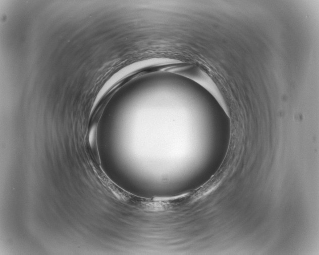 X0000086960432200704231455
