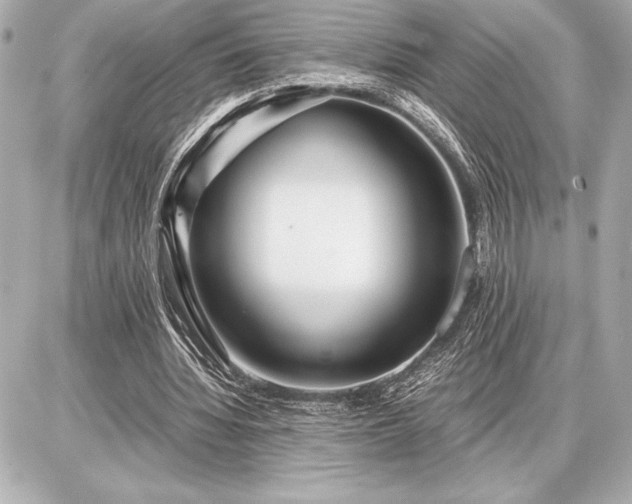 X0000086960436200704231454