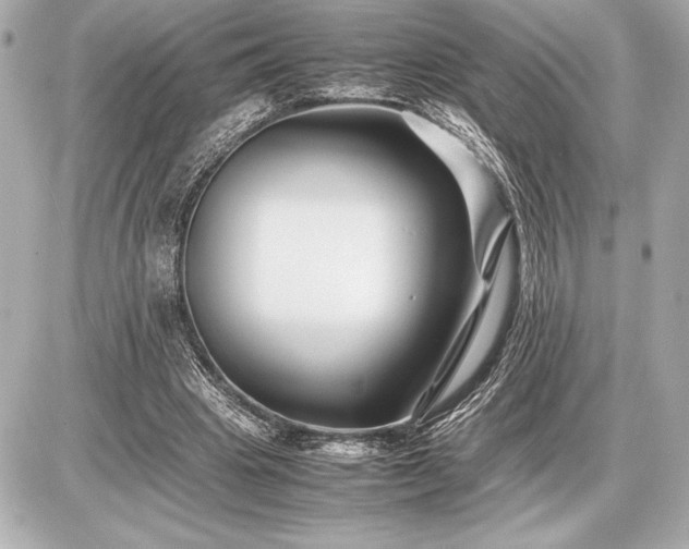 X0000086960441200704231454