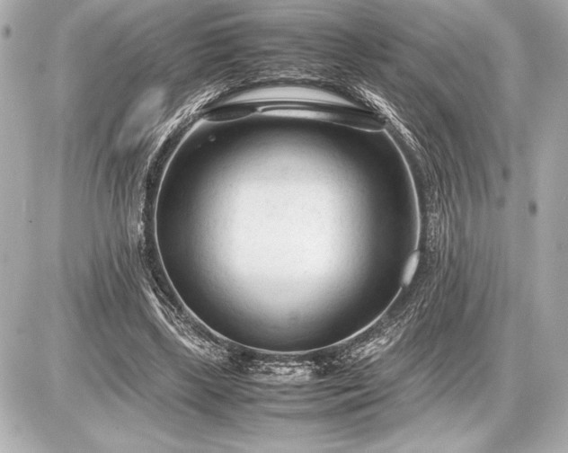 X0000086960443200704231454