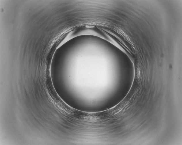 X0000086960444200704231454