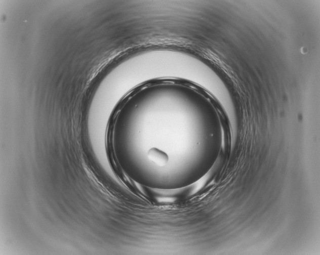 X0000086960448200704231454