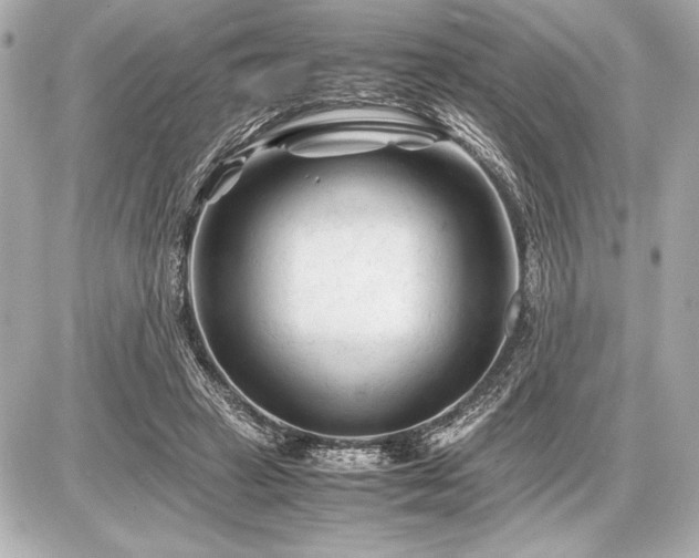 X0000086960449200704231454