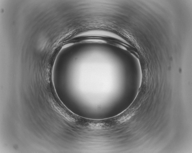 X0000086960450200704231455