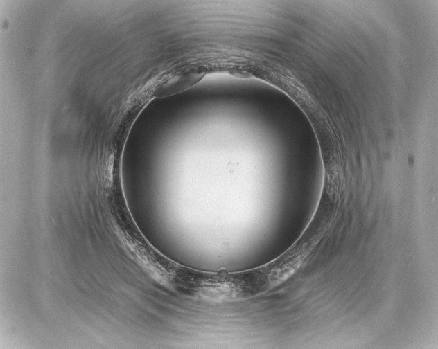 X0000086960454200704231455
