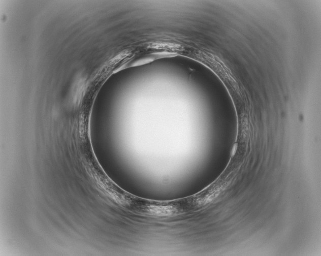 X0000086960457200704231455