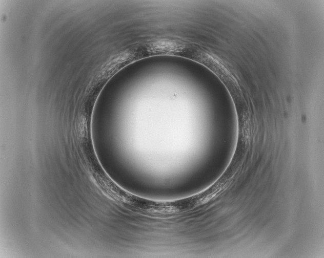 X0000086960459200704231455