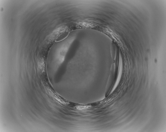 X0000086960465200704231455