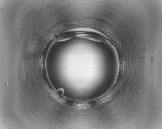 X0000086960466200704231455