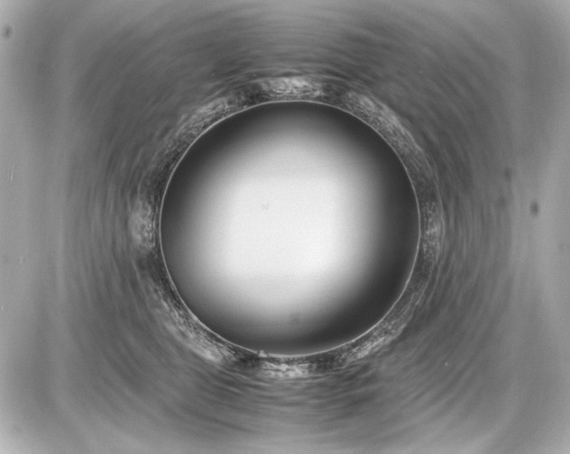 X0000086960469200704231455