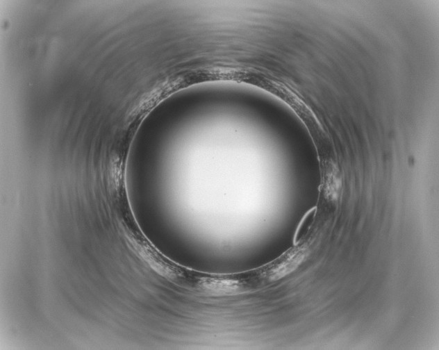 X0000086960476200704231455