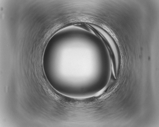 X0000086960481200704231454