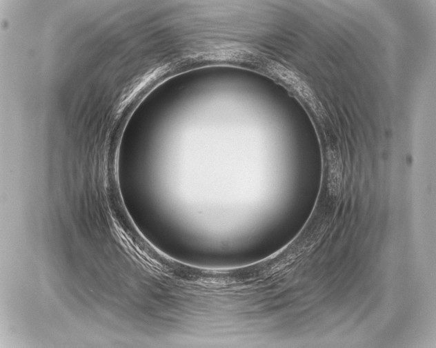 X0000086960482200704231454