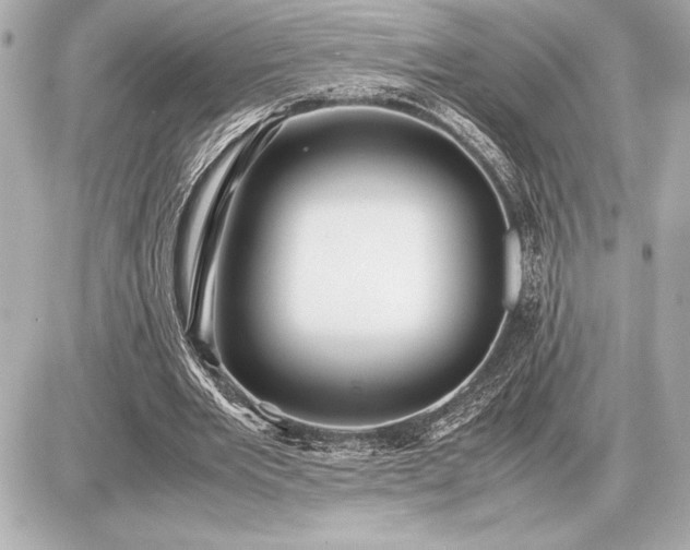 X0000086960485200704231454