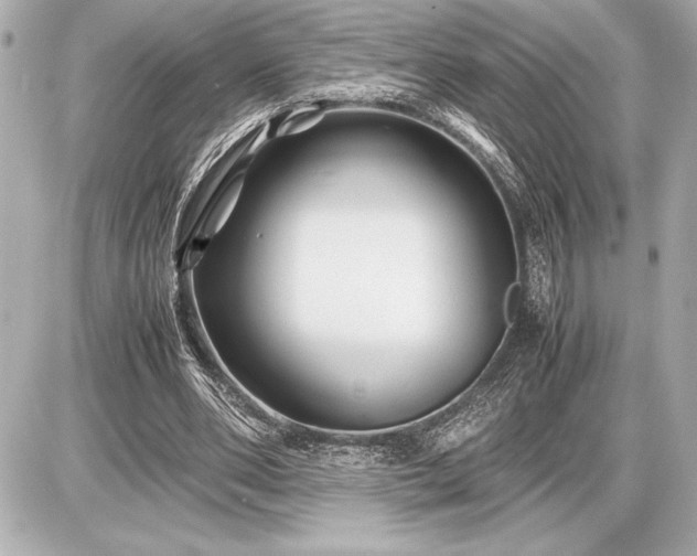 X0000086960486200704231454
