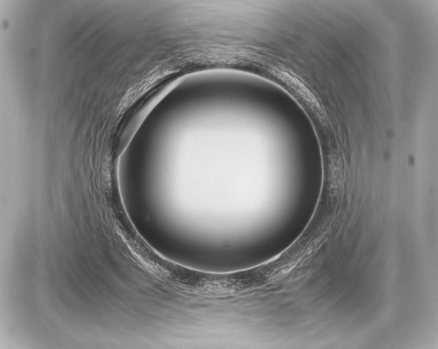 X0000086960489200704231454