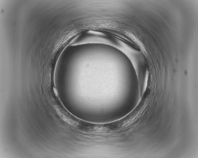 X0000086960493200704231454
