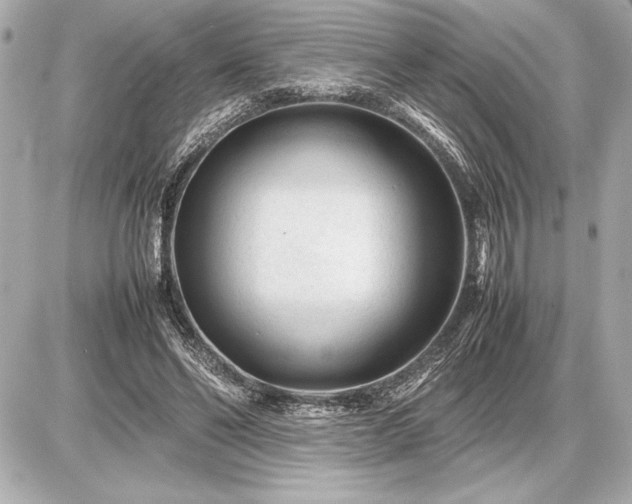 X0000086960494200704231454