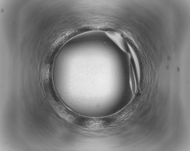 X0000086960495200704231454
