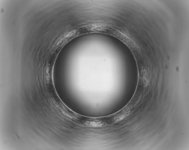 X0000086960506200704231454