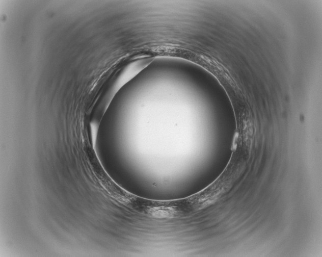 X0000086960508200704231454